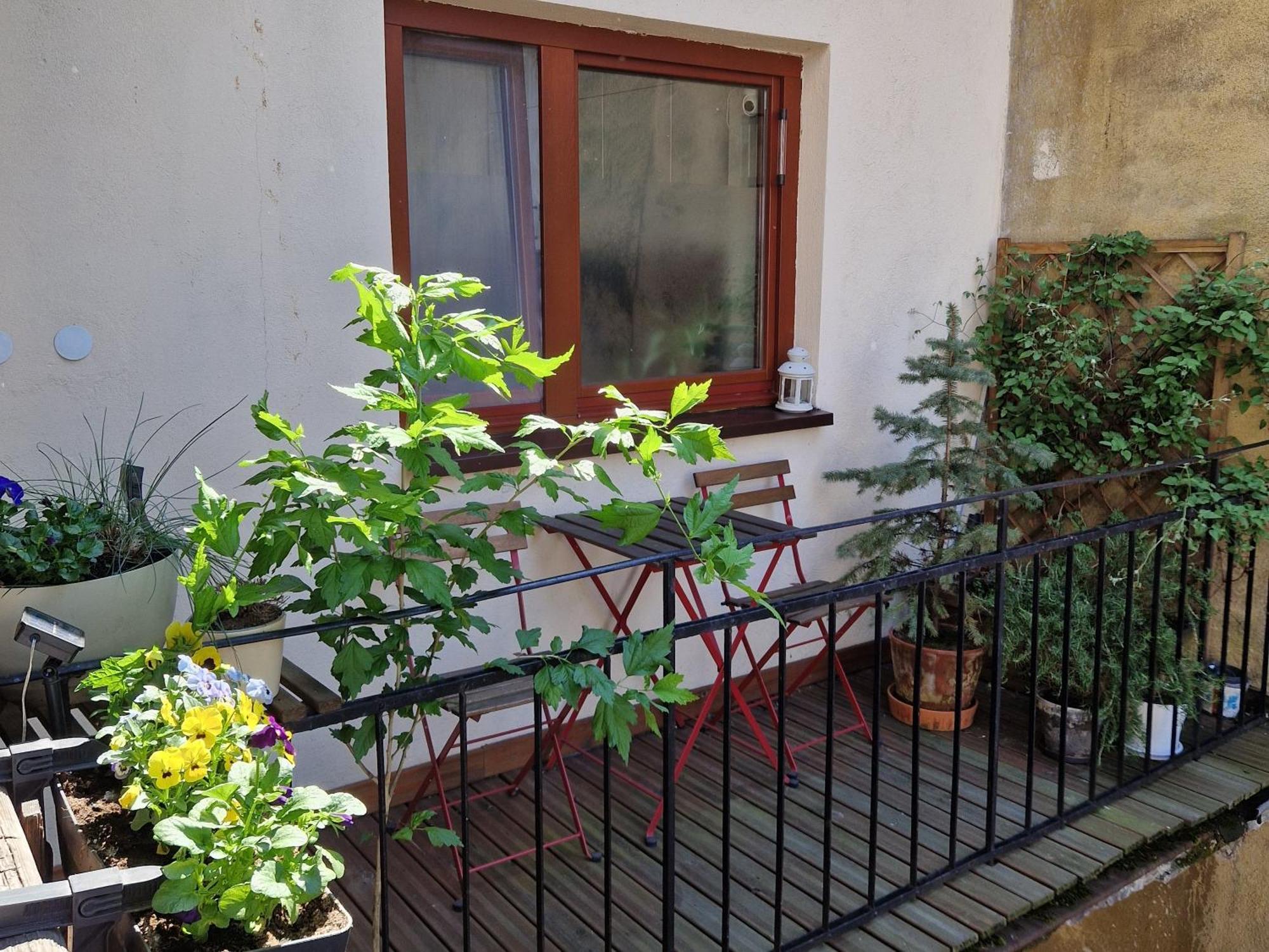 Apartmán Podgorze Forum